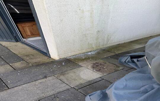 Fassade vor der Reinigung